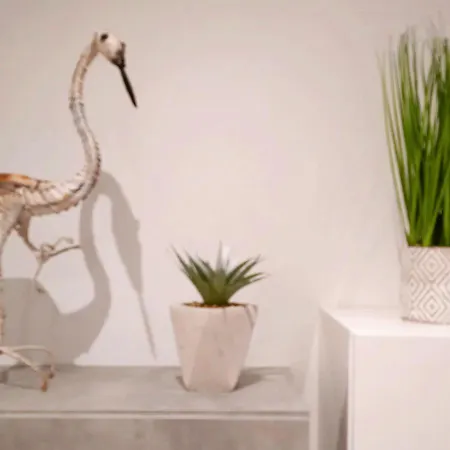 La Casa Di Andre شقة